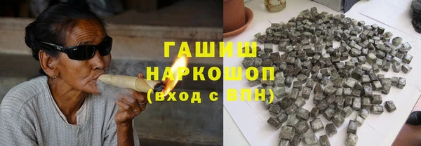 шишки Пересвет