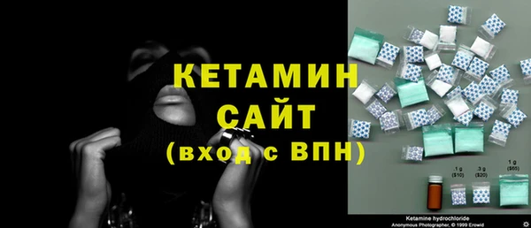 шишки Пересвет