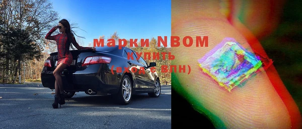 шишки Пересвет