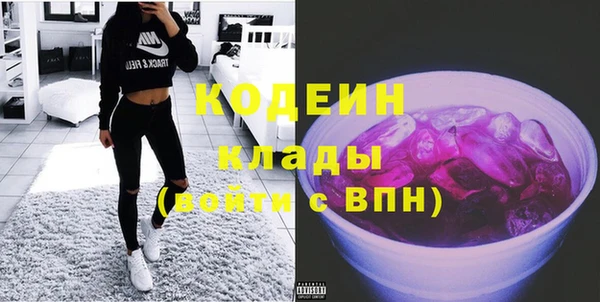шишки Пересвет