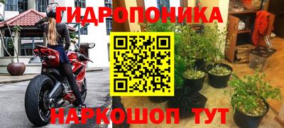 прущие грибы Берёзовский