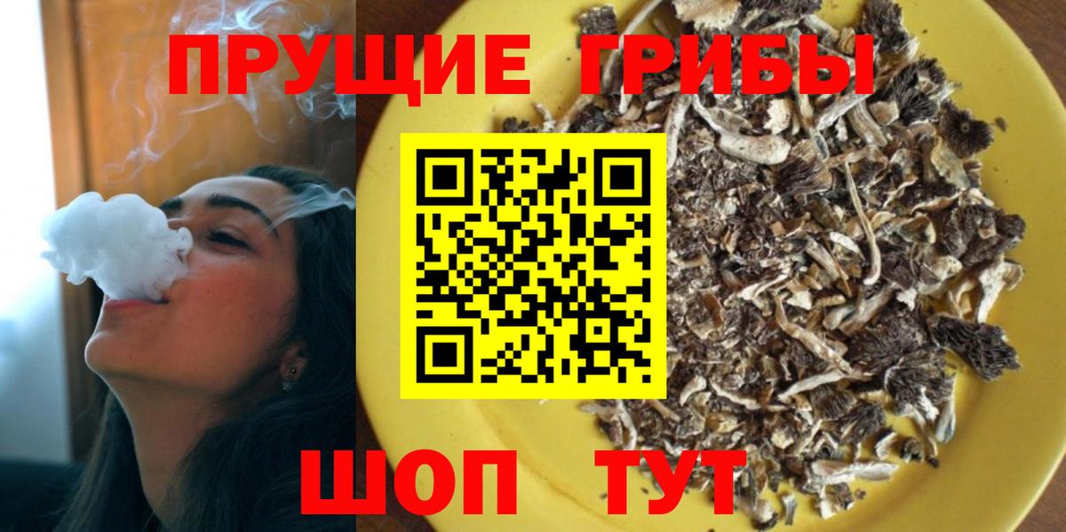 Галлюциногенные грибы прущие грибы  Вольск  где продают   Псилоцибиновые грибы Psilocybine cubensis 
