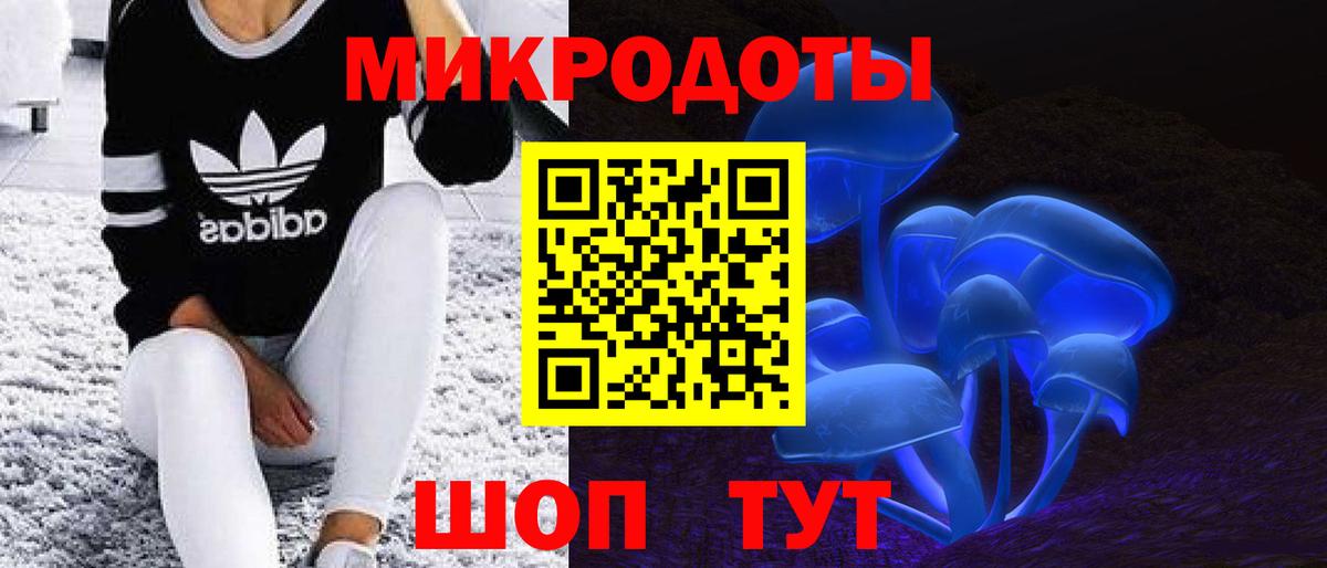 Псилоцибиновые грибы прущие грибы  Вход с VPN  Вольск  Галлюциногенные грибы Psilocybine cubensis 