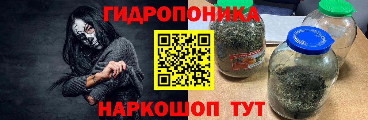Канабис ГИДРОПОН  Шишки марихуана THC 21%  Шишки марихуана Ganja  Каннабис White Widow  Вход с VPN  Вольск 